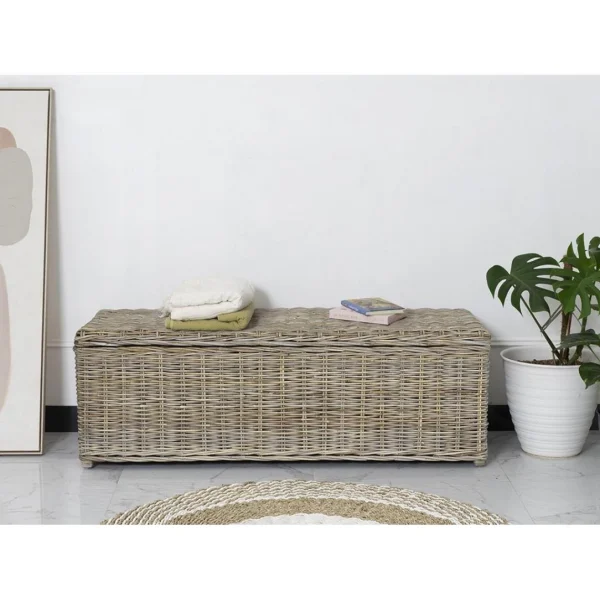 Vente-unique Coffre De Rangement En Kubu GAO – L130 X P45 X H44 Cm – Gris Naturel De Qualité 1