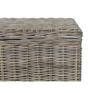 Vente-unique Coffre De Rangement En Kubu GAO – L130 X P45 X H44 Cm – Gris Naturel De Qualité 15