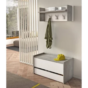 ALTER Meuble D’entrÃ©e Moderne Avec Ã©tagÃ¨re Ã  Chaussures, 100% Ma… Couleurs variées 9