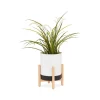 grande surprise Kokoon Design Pot De Fleur ZINNIA BLANC 17