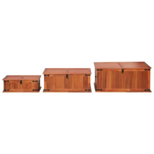 en solde VidaXL Coffres De Rangement 3 Pcs Bois D’acacia Solide 13