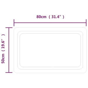 grande qualité VidaXL Miroir De Salle De Bain à LED 80×50 Cm 15